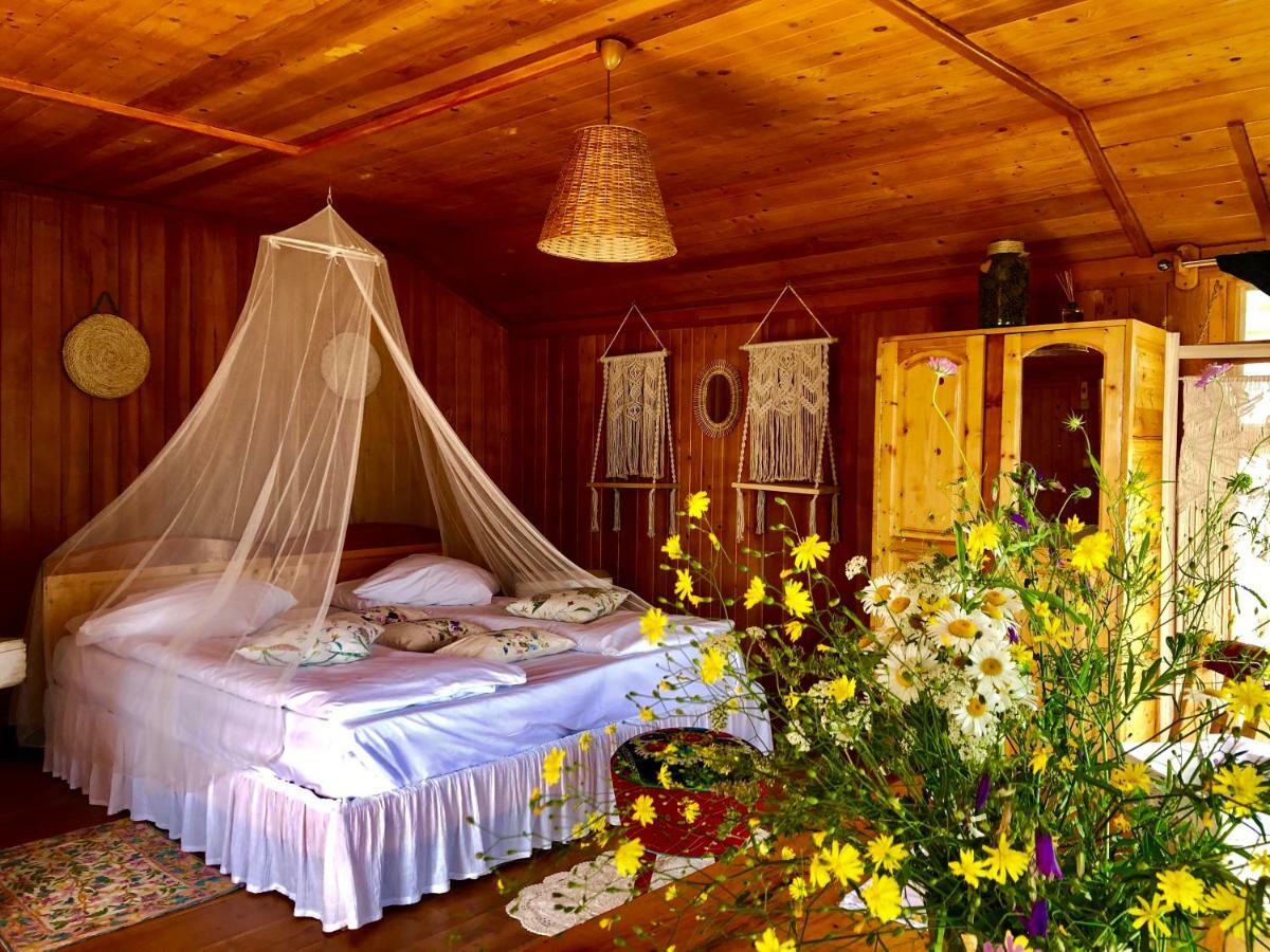 Dream Tricule Villa Svinita Kültér fotó